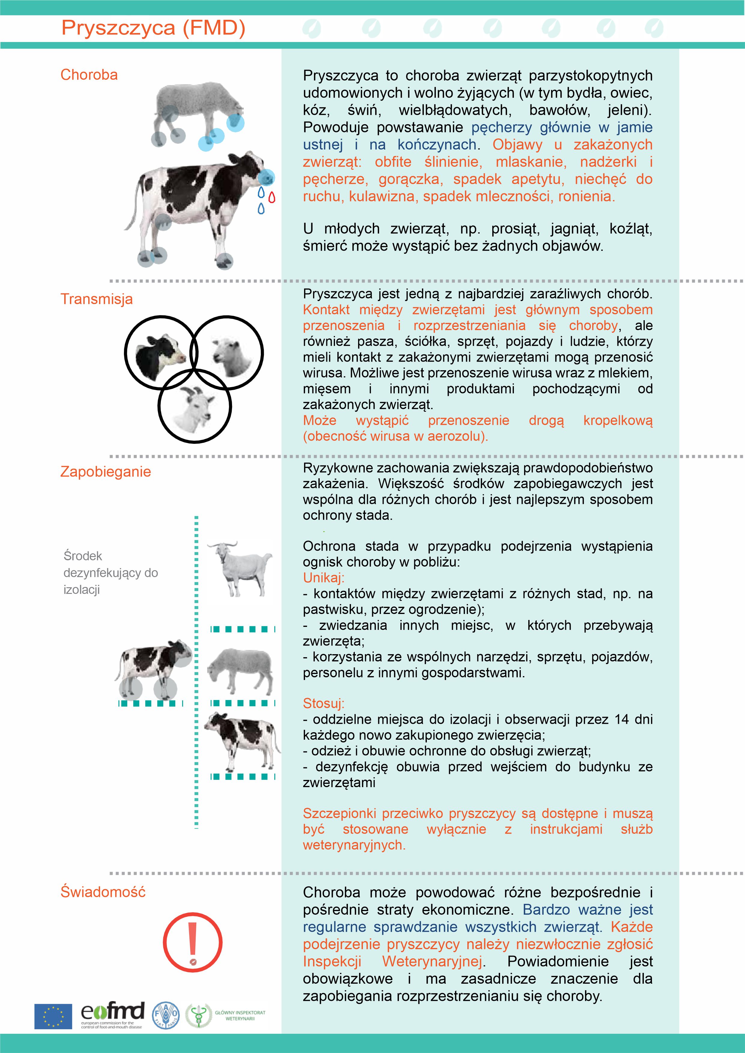 Ulotka informacyjna dot. choroby zwierząt – pryszczycy