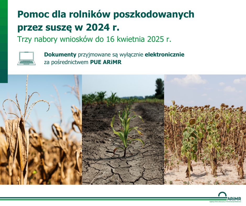 INFOGRAFIKA_Pomoc dla rolników poszkodowanych przez suszę w 2024 roku